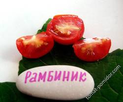 Рамбиник