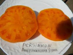 Persimmon