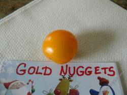 Gold Nuggets