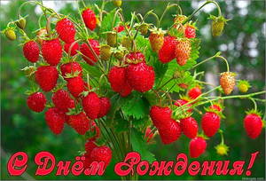 dbe044a4e81286d8267b715e119f374d.jpg