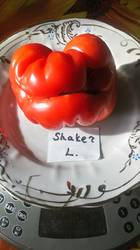 Shaker's Large Red