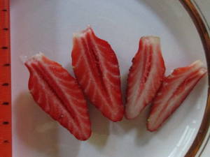 Купчиха улучшенная.jpg