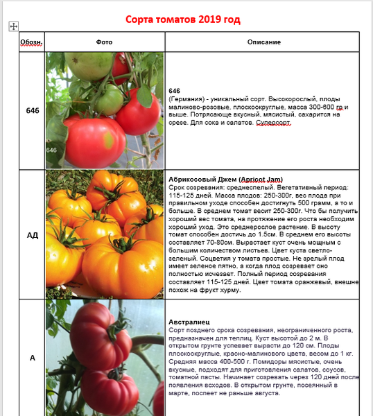 Томат Алешка: описание сорта помидоров, характеристики, посадка, болезни и отзывы