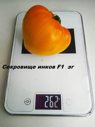 Сокровище инков F1 23.08.19.jpg