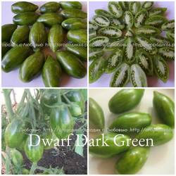 Dwarf Dark Green.jpg