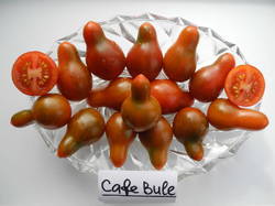 Кафе Буле (Cafe Bule).JPG