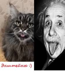Энштейны :)