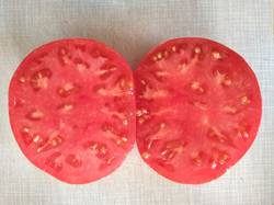 помидоры Крупные красные1.jpg