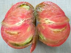 помидоры Сердце ананасное1.jpg