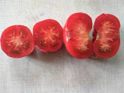 помидоры Июньские.jpg