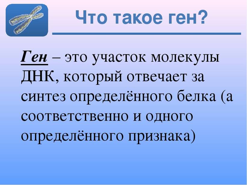 С чего начинается ген. Ген определение. Ген это кратко. Ген определение биология. Что такое ГЕНЕНТ кратко.