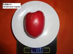 Буффало гигантское сердце 20.08 вес_.jpg