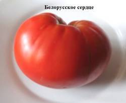 Белорусское сердце.jpg