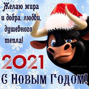 newyear0114.jpg