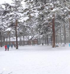 Кедровый бор. Кемерово. 13.12.2020