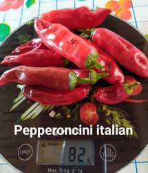 Pepperoncini italian11.08.jpg