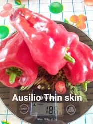 Ausilio Thin skin, Италия.jpg