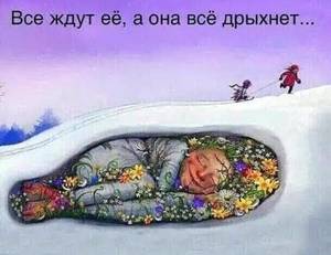 ВСЕ ЕЕ ЖДУТ.jpg