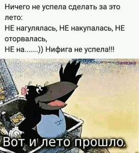 Вот и лето прошло.jpg