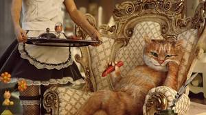 animals_digital_art_cat_Wealth_women_maid_skirt_chair-76879.jpg!d.jpg