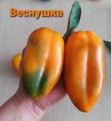 Веснушка.jpg