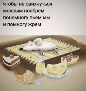 изображение_2022-11-12_144548689.png