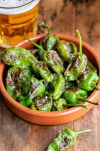 padron-peppers-4-1024x1536.jpg