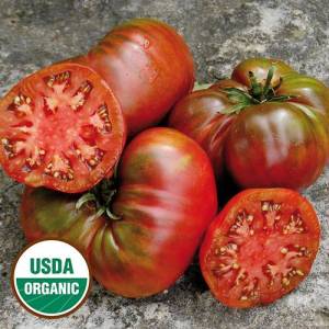 0019-black-sea-man-tomato-organic.thumb.jpg.277a7a9bab2854cfcee73f5cded85f06.jpg