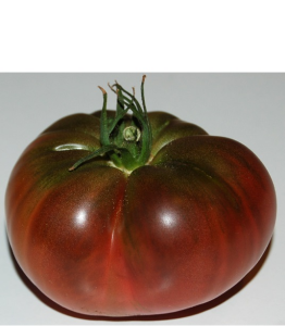 Tomate-Blue-Fruit-Mariannas.thumb.png.a980004488910467d4e628906345b526.png.761ec56db8f9c5460c22ae1abce0a109.png