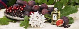 wild-fig-cassis.thumb.jpg.10599a6bed26875f165ebd8db908a83e.jpg