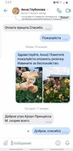 Screenshot_20230111-071756_VK.jpg