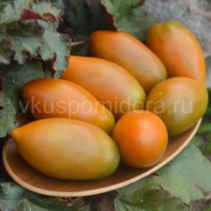 tomat-gnom-shchedrost-laury-1.thumb.jpg.ccd406ca6cc4f478f979ce55ec0db5cb.jpg