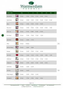 Wholesale Price List (EU) - Shipping Fall Season 2023 (3) (1)-8.jpg