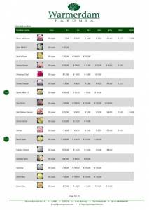 Wholesale Price List (EU) - Shipping Fall Season 2023 (3) (1)-11.jpg