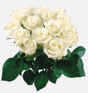 png-transparent-birthday-wish-greeting-note-cards-holiday-happiness-bouquet-of-flowers-love-flower-arranging-white.thumb.png.c6c65a611769442e8f5a8b5dc5f6a39a.png