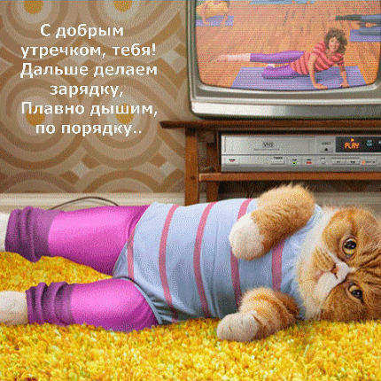 imagetext_ru_51648.gif