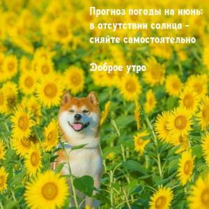 otkritkis_ru_iyun_utro_8.thumb.jpg.0364d8c59c6abf84cdbed9501be1fc8f.jpg