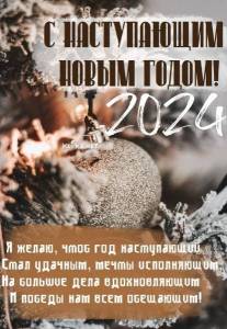 S-nastupayushhim-novym-godom-2024-druzya-krasivye-kartinki_17.jpg