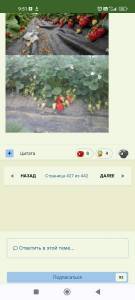 Screenshot_2024-01-28-09-51-20-449_com.android.chrome.jpg