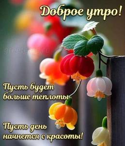 1695739378_dobroe-utro-15.jpg