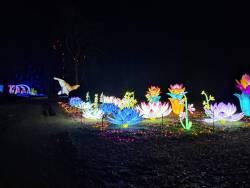 Китайские светящиеся фигуры в зоопарке