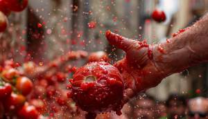 la-tomatina-2024-guide-to-valencia-s-iconic-tomato-festival-2114.thumb.jpg.27c8082e83d2c4a1e77267ad2a0ba94f.jpg