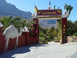 Camel-Safari-Park-ENTRANCE.thumb.jpg.7e3cf8843c4bed07fd847d3df8017144.jpg