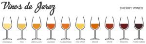 sherry-types-all.thumb.jpg.454799d5194e07ba91a5c60631aae0d6.jpg