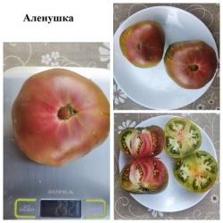 Аленушка 7.9.24.jpg