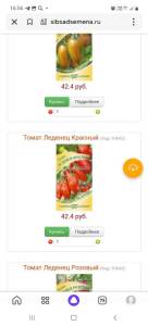 Screenshot_20241202-165603_Yandex Start.jpg