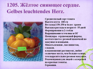 Снимок экрана 2024-12-27 в 23.36.40.png