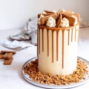 Lotus-Biscoff-Cake-1-11-500x500.thumb.jpg.93ee42037ae8d9095e3763572fa30cd0.jpg