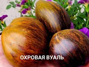 охровая-вуаль.jpg