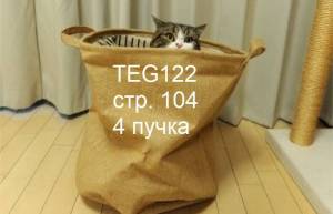 тег122.jpg